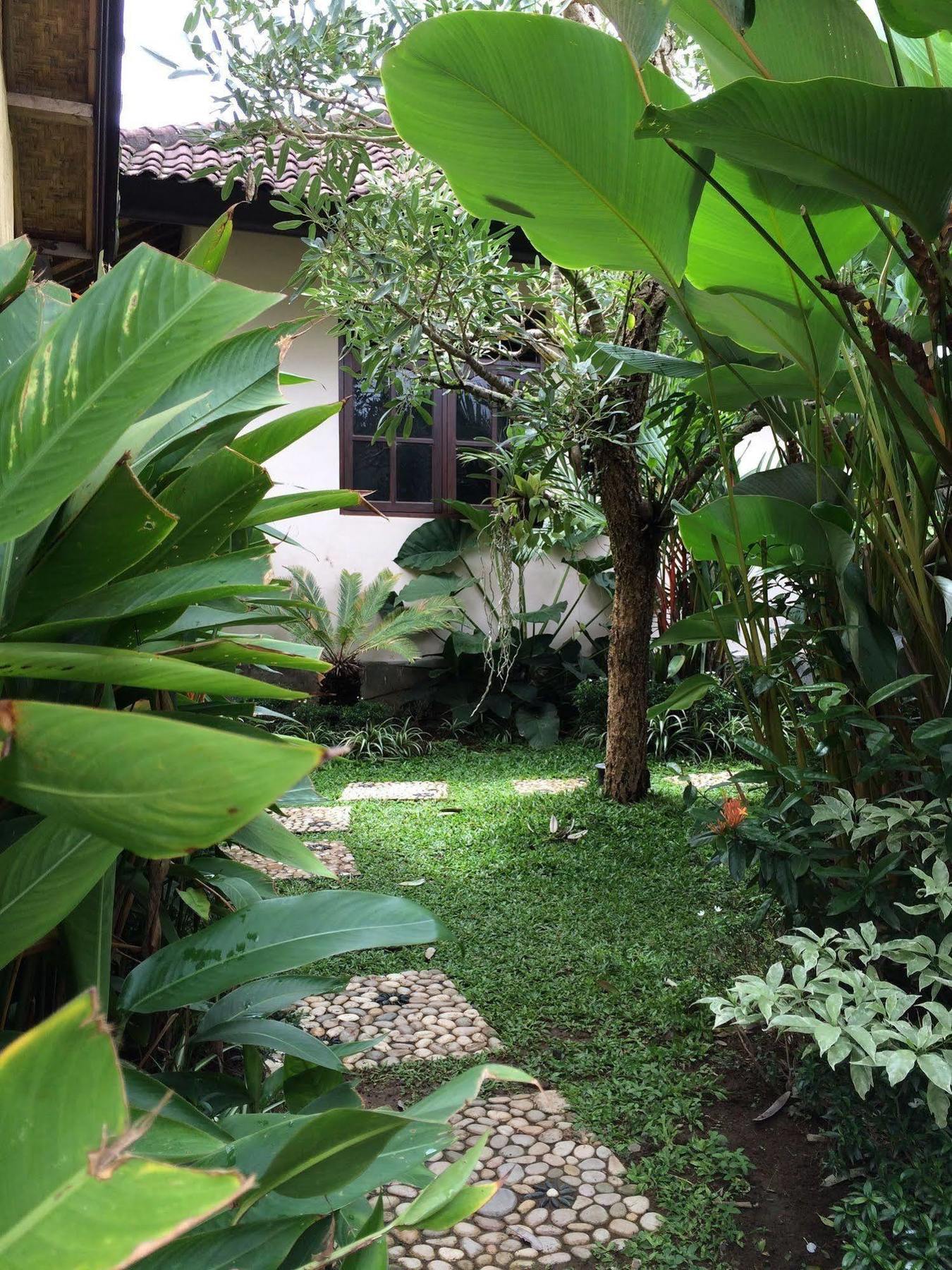 Uma Dewi Guest House Ubud Zewnętrze zdjęcie